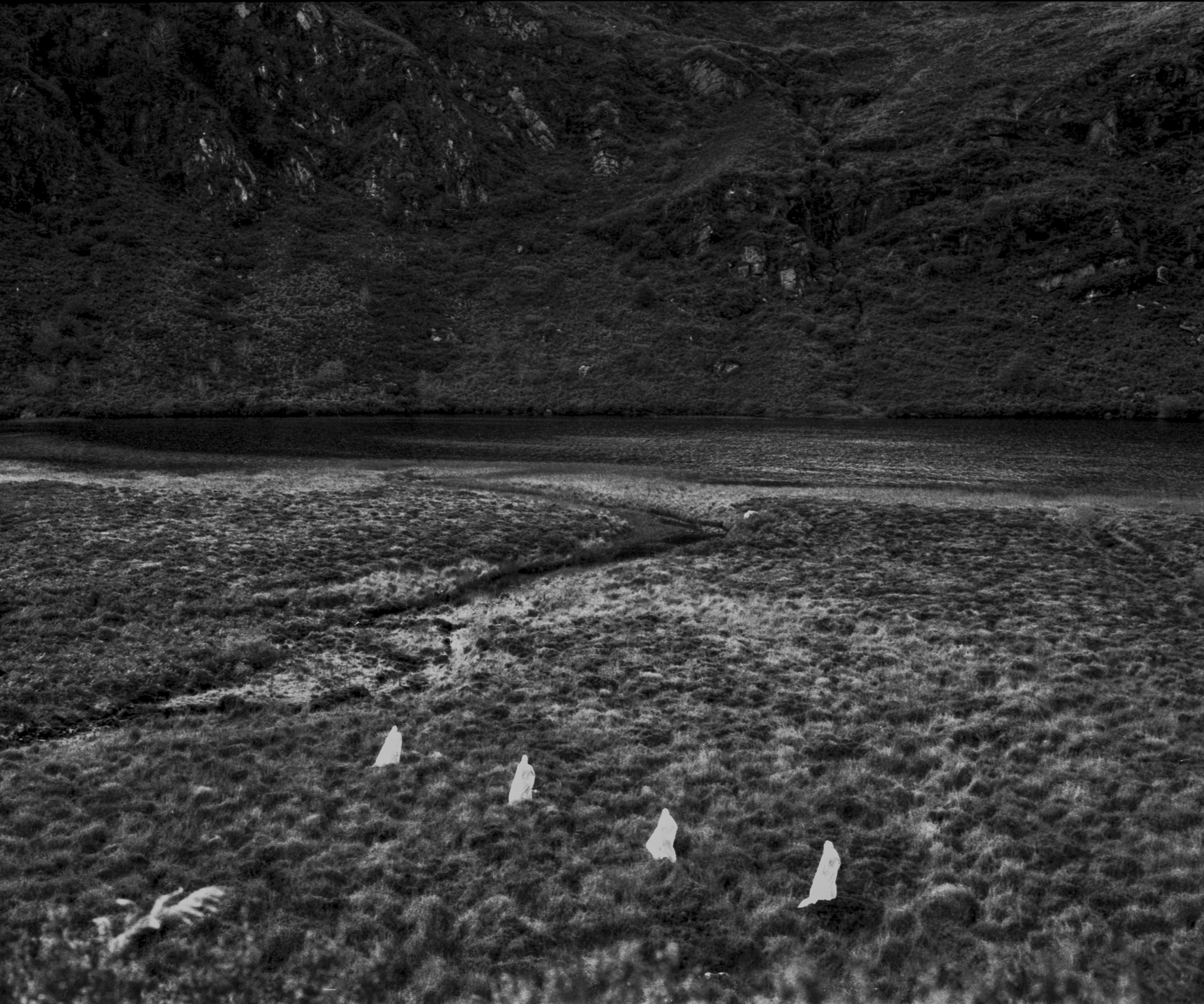 figures traversing marshland