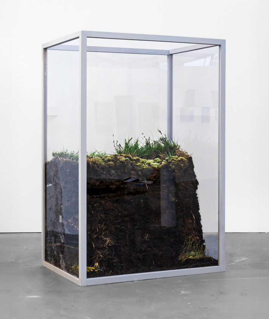 Art by Aveen Mc Kernan