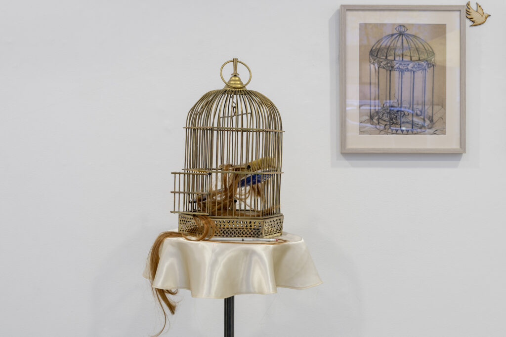 IADT Art project birdcage